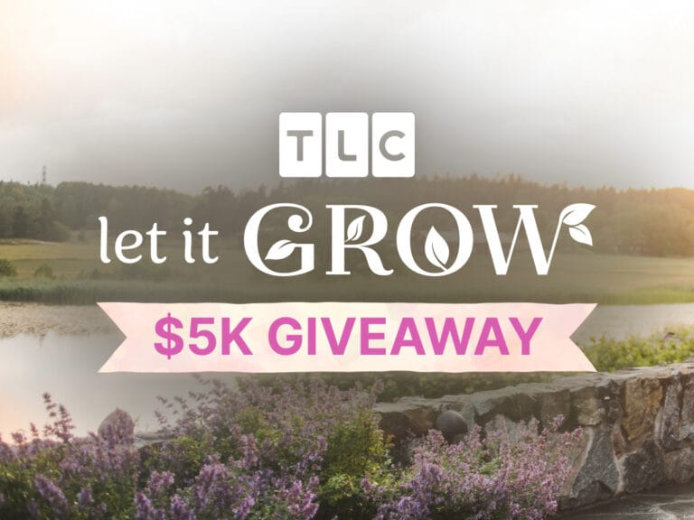 tlc / warner bros. discovery sweepstakes