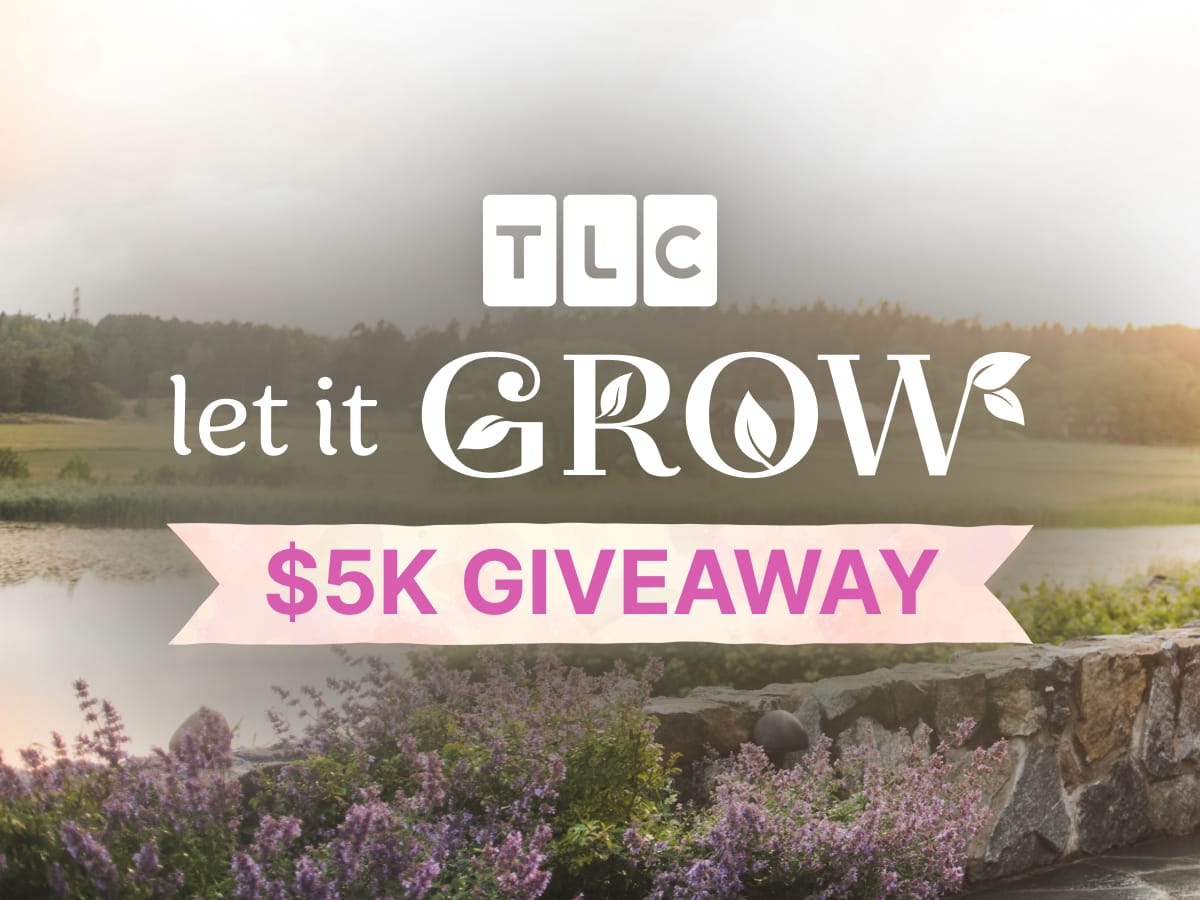 tlc / warner bros. discovery sweepstakes