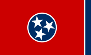 Tennessee Sweepstakes Laws