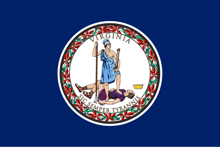 Virginia Sweepstakes Laws