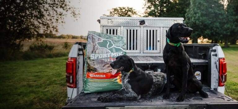 midwestern pet sweepstakes