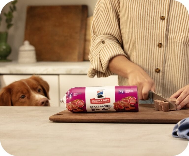 hill's pet nutrition sweepstakes
