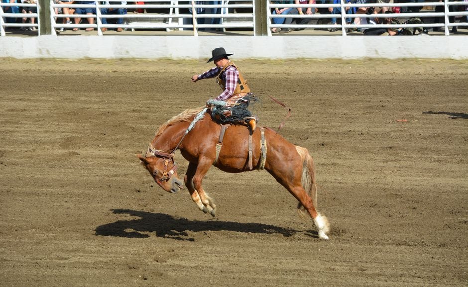 rodeo prize money