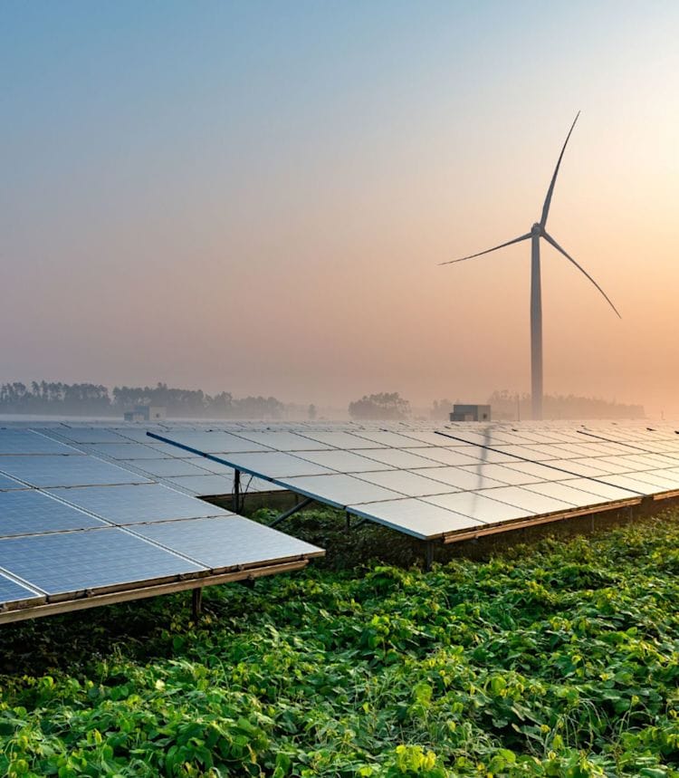 ecobee technologies ulc sweepstakes